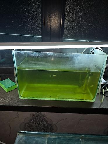Dördbucaq akvarium, Boş, 20 l, Ünvandan götürmə