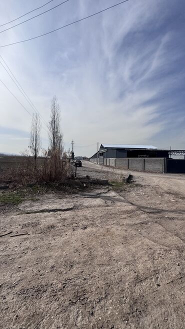 Продажа участков: 385 соток, Для сельского хозяйства, Договор дарения — 10