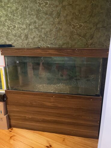 купить аквариум: Akvarium-şkaf, Boş, 150 l, Ünvandan götürmə