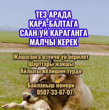 я ищу работу разнорабочий: Требуется Скотник, Оплата Сдельная, Обучение