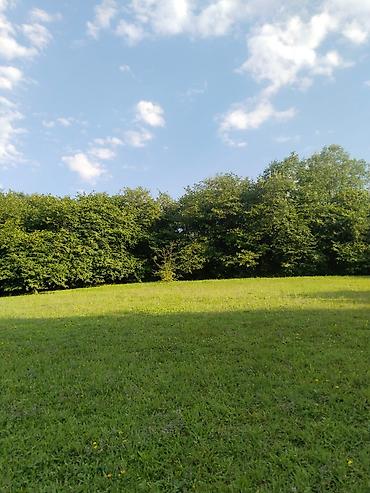 Torpaq sahələrinin satışı: 92 sot, Biznes üçün, Mülkiyyətçi, Kupça (Çıxarış), Bələdiyyə, Müqavilə — 7