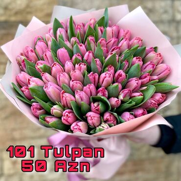 Buket güllər: 101 Tulpan - 50 ₼ Səhər ici çatdırılma var rayonlara çatdırılma var