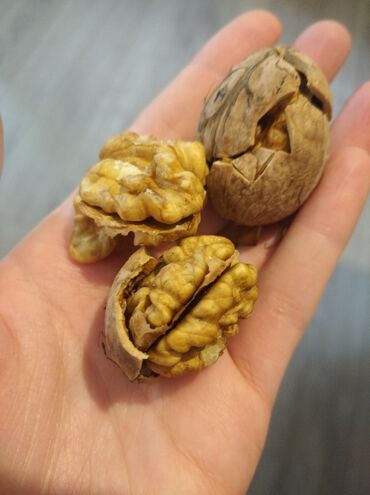 детскую кроватку кроватка к: Орехи в селе Ленинское, оптом (мешок), 160 сом за кг. В наличии два