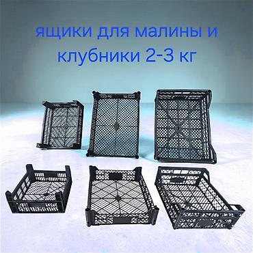 Ящики: Пластиковый Ящик — 1