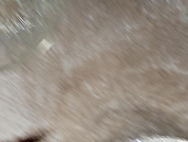 Другие товары для кухни: Продаются бокалы б/ у 50 сом штука, рюмки б/у 30 сом штука вазочки — 9