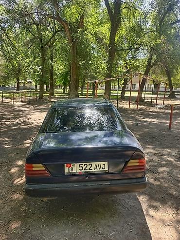 Mercedes-Benz: Mercedes-Benz W124: 1989 г., 2.6 л, Механика, Бензин — 6