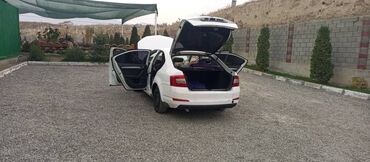 жук ташуучу машина: Skoda Octavia: 2016 г., 1.6 л, Автомат, Газ, Хэтчбэк