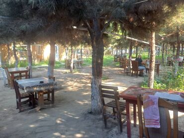 is elanlari tap az: Ofisiant tələb olunur, Restoran, Gündəlik ödəniş, İstənilən yaş, Təcrübəsiz