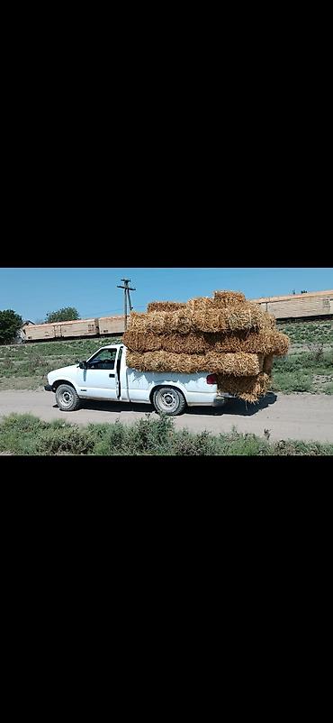 ford transit v184: Yükdaşıma üçün etibarlı pikap - Korpus: ağ rəngli, birkabinli pikap — 1
