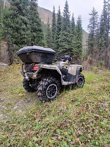 кудайберген шины: Квадроцикл CFMoto, Бензин, 850 куб. см, Чоңдор үчүн — 2
