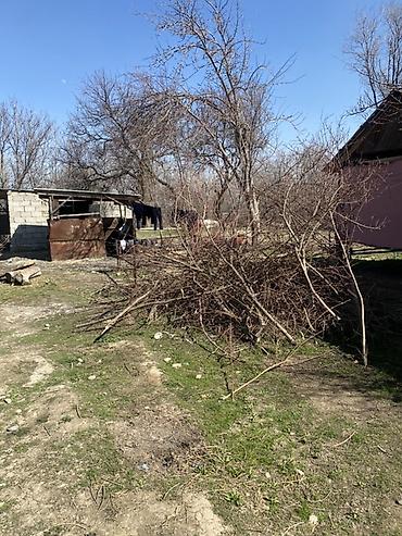 Продажа дач: Продаётся дом с участком. - Одноэтажный дом из кирпича с — 13