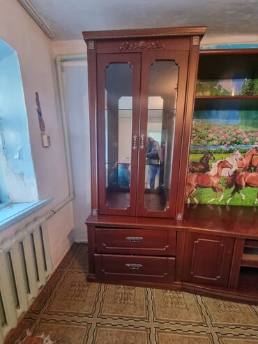 растения домашние: Продаю стенку бу