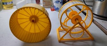 колесо для хомяков: Продаются бегавое колесо для сирийского и джунгарского хомячка