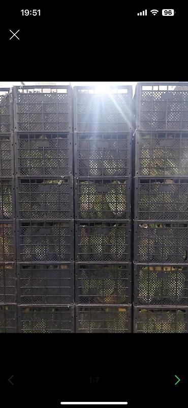 чебак купить: Ящики под капусту — 4
