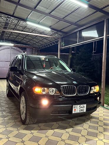 BMW: BMW X5: 2004 г., 3 л, Автомат, Бензин, Внедорожник — 16
