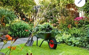 чистка огорода: Уборка огорода участка,копка лапатами. за один час на одного