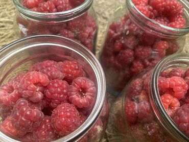 купить маринованное мясо для шашлыка: Малина В розницу, Самовывоз
