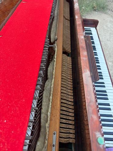 piano kuban: Belarus 3 Pedal Piano Yaxşı vəziyyətdədir ünvab mərdəkan — 2
