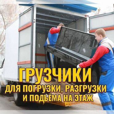 шаурма оборудование: Жүк ташуучу
