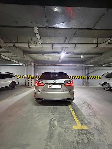 Lexus: Lexus RX: 2019 г., Вариатор, Бензин — 10