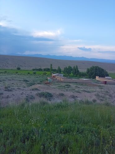 Продажа домов: Дом, 40 м², 4 комнаты, Собственник, Косметический ремонт — 13