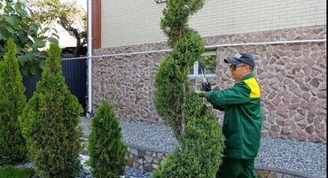 Другие услуги: Сделали ландшафтный дизайн? Нужно поддерживать его в идеальном — 9