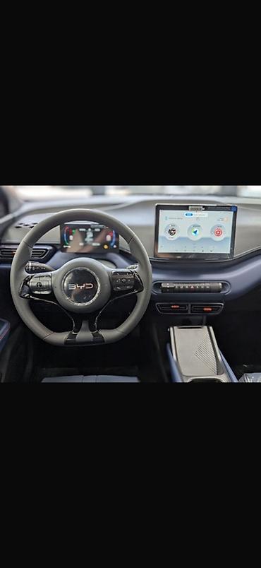 BYD: BYD Seagull: 2025 г., Робот, Электромобиль, Хэтчбэк — 3