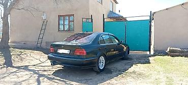 BMW: BMW 5 series: 2000 г., 2.5 л, Механика, Бензин, Седан at lalafo.kg — 6 BMW: BMW 5 series: 2000 г., 2.5 л, Механика, Бензин, Седан — 6
