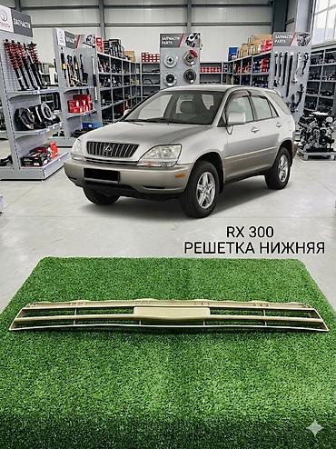 2001: RX 300 — нижняя решётка радиатора. - Назначение: декоративная — 1