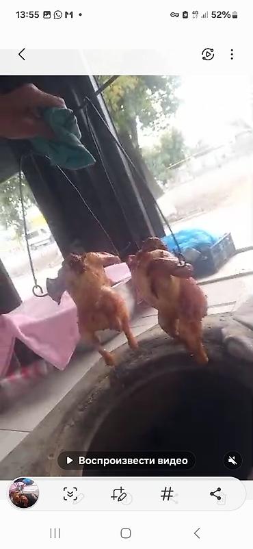 Повара: Повар Самсышник. С опытом — 10