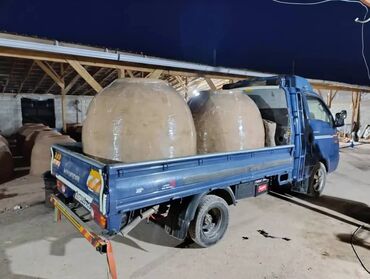 Очок: Тандыры Больше 6 лет опыта — 4