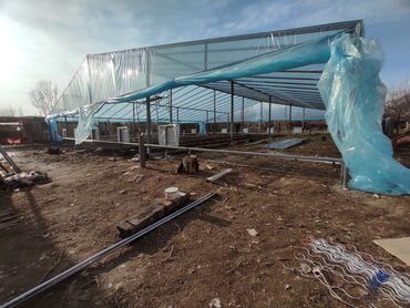 Теплицы: Ищу инвестора для масштабирования тепличного хозяйства и развития — 2