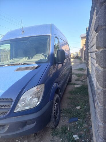 Mercedes-Benz: Mercedes-Benz Спринтер: 2006 г., Минивэн