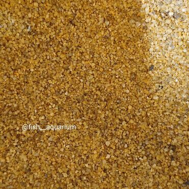 Аквариумы: Аквариумные пески. Грунты для аквариума. Большой выбор. Качественные — 6