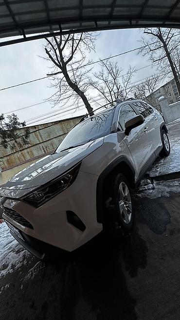 Toyota: Toyota RAV4: 2019 г., 2.5 л, Автомат, Гибрид, Внедорожник — 2