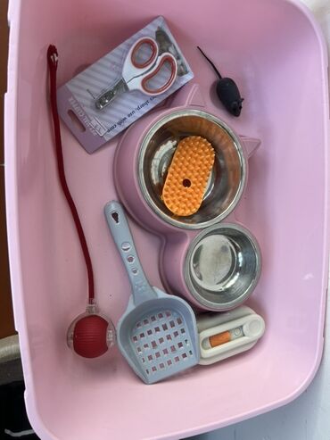 русская голубая кошка цена: Pişik üşün bütün aksessuarlar hamısı birliktə 40 azn