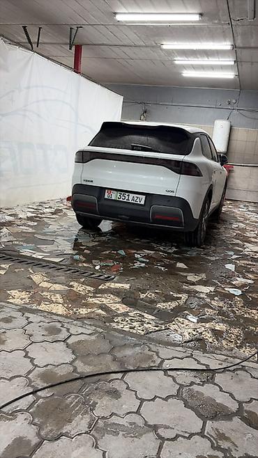506: Changan Qiyuan Q05: 2025 г., Электромобиль, Кроссовер — 1