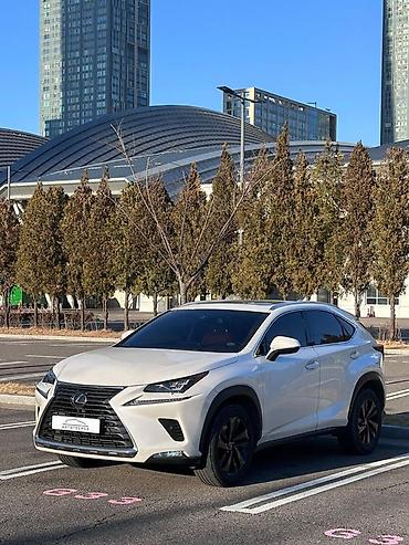 лехус нх 300: Lexus NX: 2021 г., 2 л, Автомат, Бензин, Кроссовер — 2
