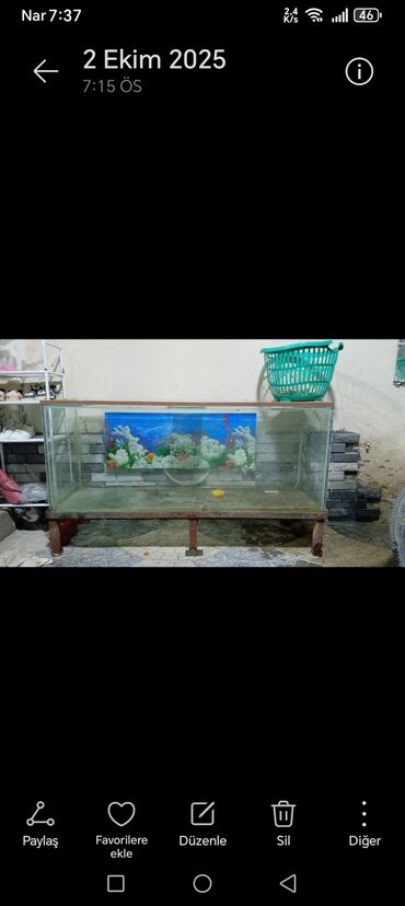 вакуумные поилки для кроликов: Dördbucaq akvarium, Boş, 375 l