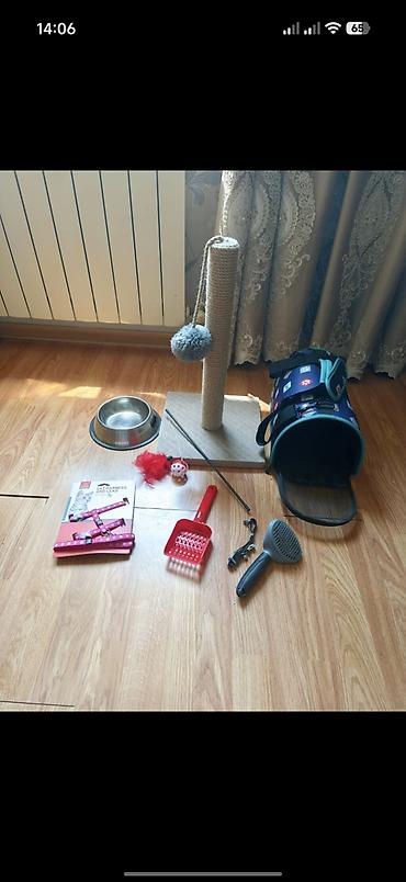 husky sekilleri: Pişik üçün tam aksesuar dəsti Dəst daxilində: - Qapalı pişik tualeti — 3