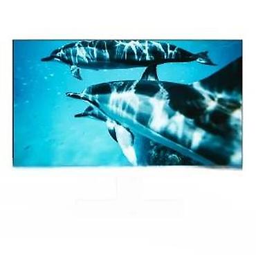 Monitori: Monitor 27" WQHD (2560x1440), IPS, tanki okviri - Dijagonala: 27 inča — 15