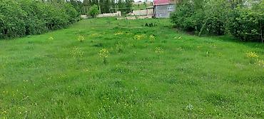 tap az samaxi: 20 sot, Tikinti, Mülkiyyətçi, Kupça (Çıxarış) — 6