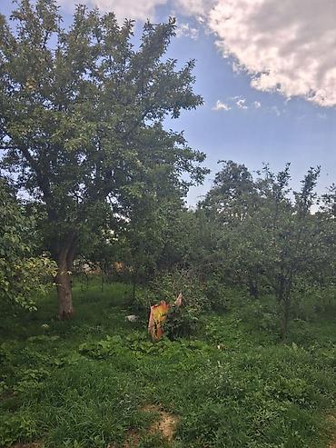 модыльный дом: 2 дома на участке. Есть возможность обмена на другую недвижимость — 3