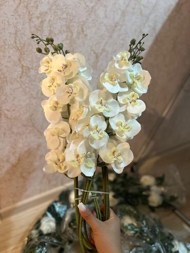 искусственые цветы: Искусственные ветки орхидеи фаленопсис, белые. - Реалистичные