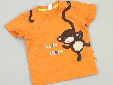 koszule marconi: T-shirt, Coccodrillo, 3-6 months, condition - Very good