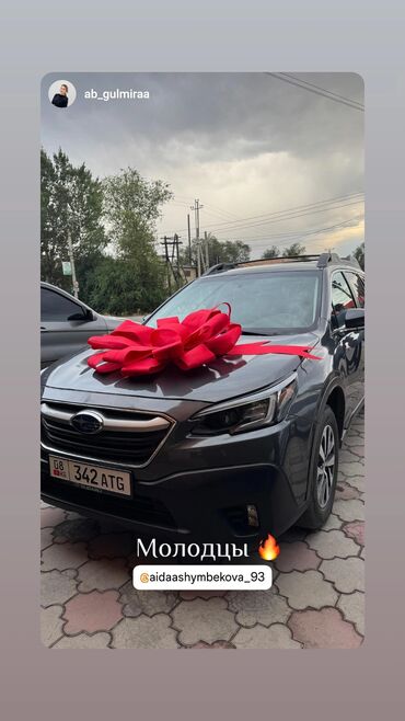 заколочка бантик: Продаю большой,яркий бант с магнитом
