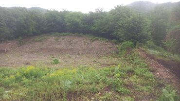 Torpaq sahələrinin satışı: 20 sot, Mülkiyyətçi, Kupça (Çıxarış), Texniki pasport -da lalafo.az — 9 Torpaq sahələrinin satışı: 20 sot, Mülkiyyətçi, Kupça (Çıxarış), Texniki pasport — 9