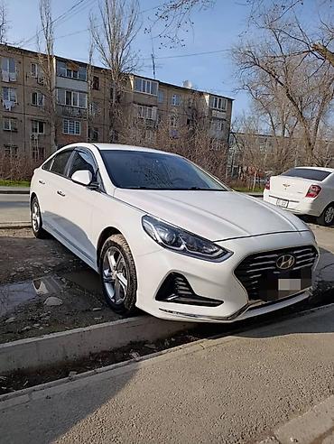 Другие автоуслуги: Сдаю в аренду Hyundai Sonata, белый седан бизнес-класса (рестайлинг) — 2