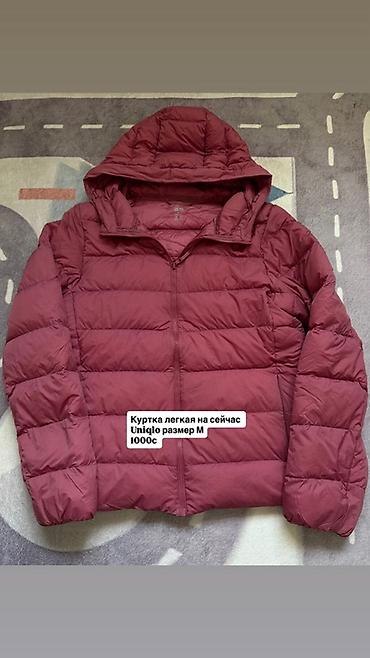 Сырт кийим: Подборка верхней одежды: 1) Куртка Uniqlo, легкая. Цвет: бордовый — 1