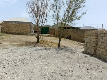 Torpaq sahələrinin satışı: 8 sot, Biznes üçün, Mülkiyyətçi, Kupça (Çıxarış) -da lalafo.az — 7 Torpaq sahələrinin satışı: 8 sot, Biznes üçün, Mülkiyyətçi, Kupça (Çıxarış) — 7